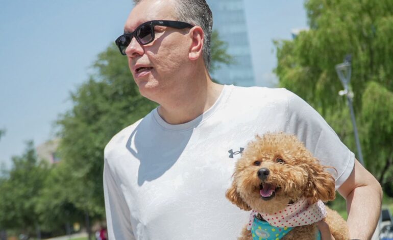 Sociedad civil fortalece el bienestar y el cuidado animal ante ausencia de políticas públicas: Waldo