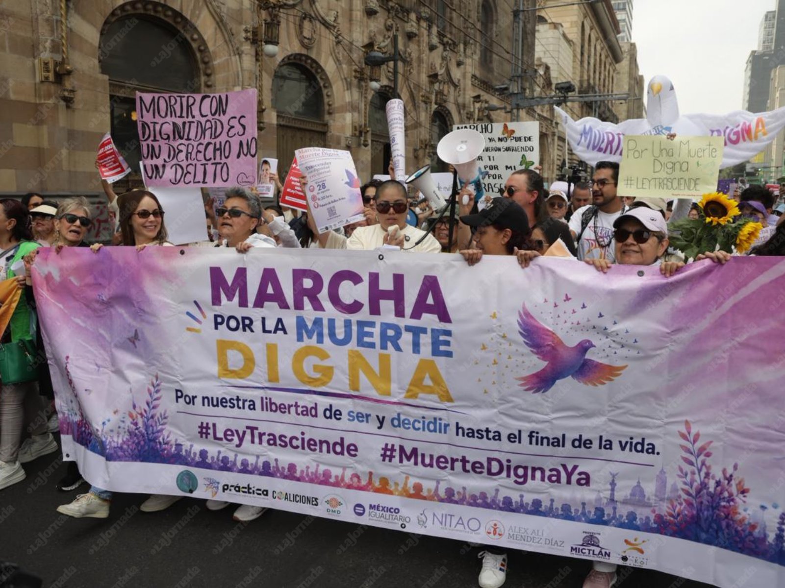 Realizan primer marcha por la legalización de la eutanasia