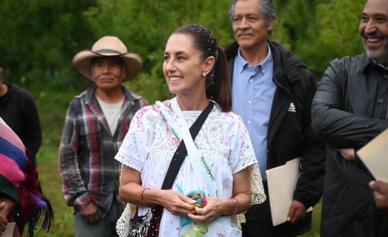 “Amanecí con gripa muy fuerte, tos y fiebre»; Sheinbaum se reporta enferma