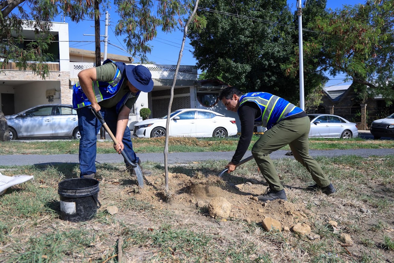 Impulsa Monterrey plantación de árboles nativos en Plaza de la Concordia