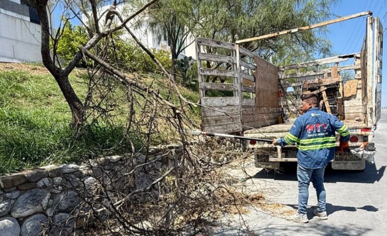 Atiende Municipio de Monterrey caída de más de 40 árboles tras lluvias y fuertes vientos