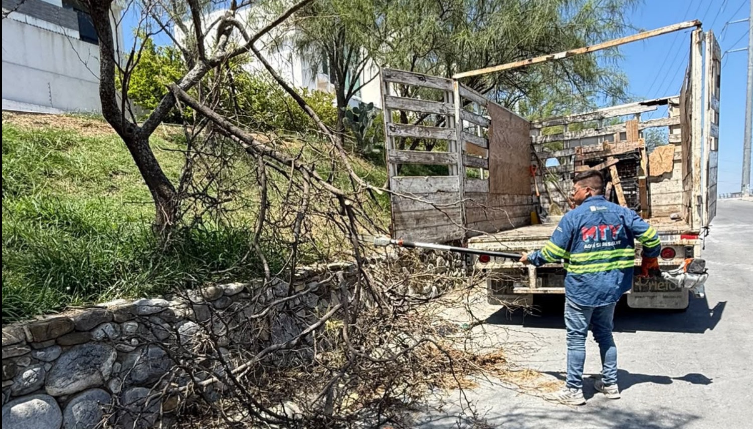 Atiende Municipio de Monterrey caída de más de 40 árboles tras lluvias y fuertes vientos
