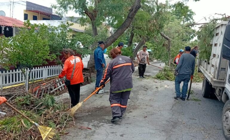 Refuerza Guadalupe labores de desazolve y retiro de árboles