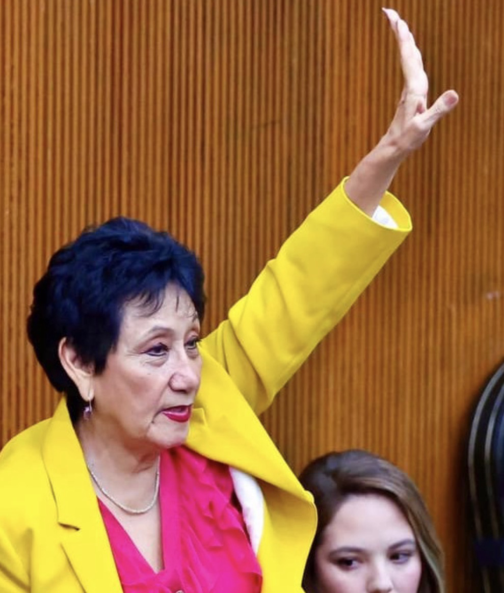 El PT se deslinda del proceso de MoReNa y espera otro entre «coordinadores»