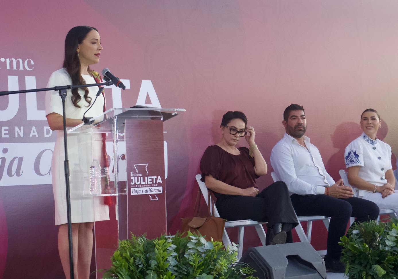 Senadora de MoReNa, niega tener un acuerdo de colaboración como testigo con EU