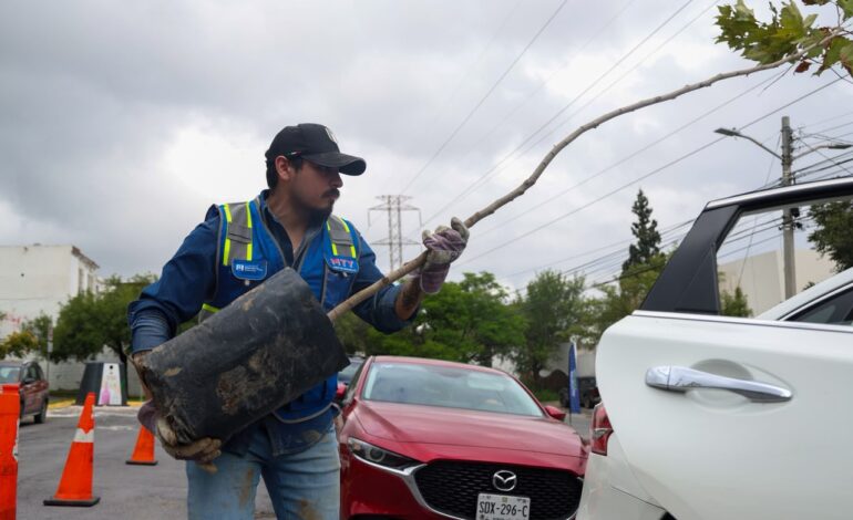 Impulsa Monterrey cultura ambiental con adopción de árboles y jornadas de reciclaje