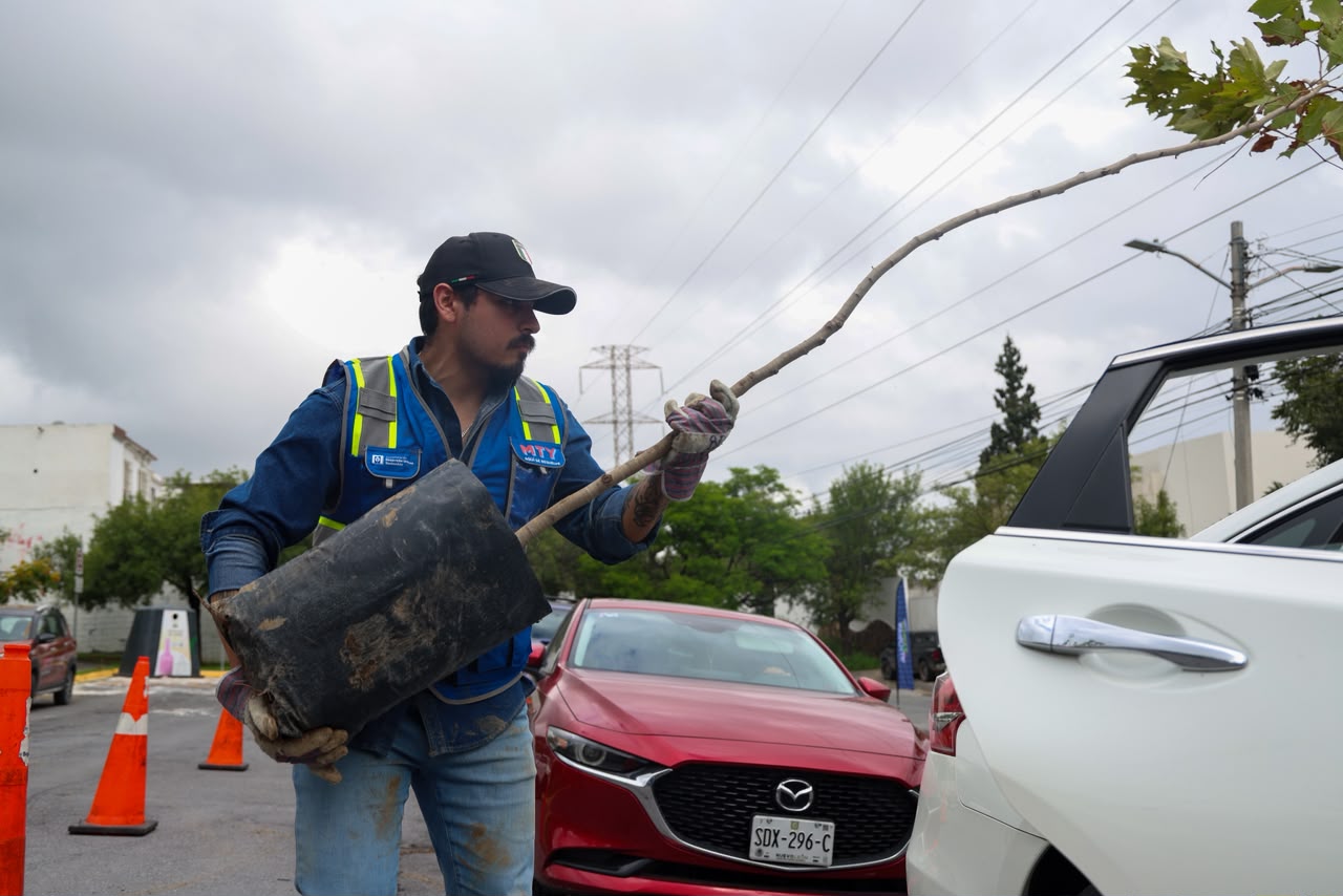 Impulsa Monterrey cultura ambiental con adopción de árboles y jornadas de reciclaje