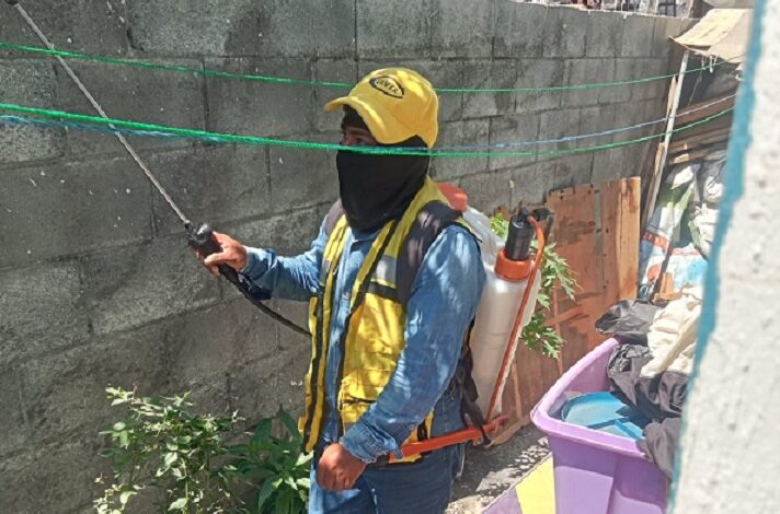 Refuerza García fumigaciones contra parásitos y vectores