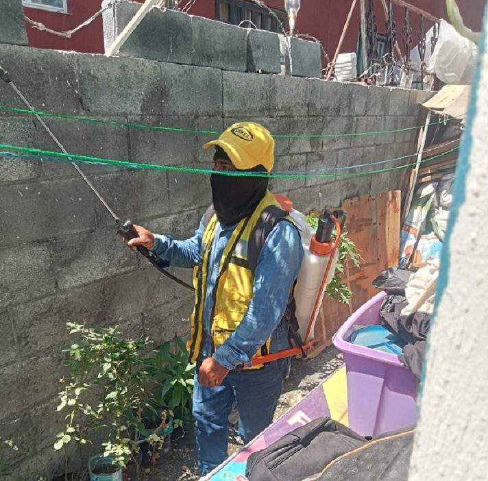 Refuerza García fumigaciones contra parásitos y vectores
